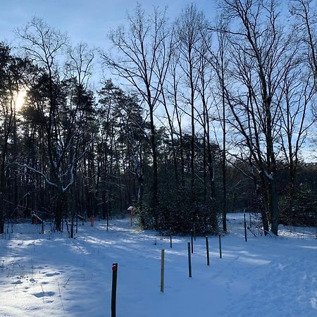 Chalet Liquidambar Zutendaal Εξωτερικό φωτογραφία